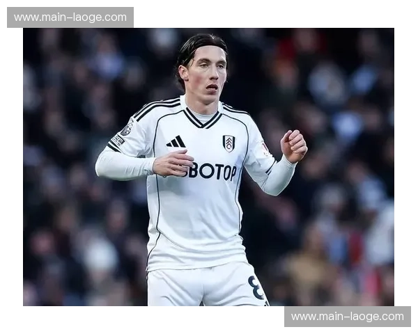 哈里威尔逊凌空抽射首开纪录 富勒姆保级关键先生